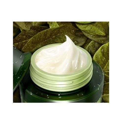 The Chok Chok Green Tea Watery Moisture Cream 100ml – Cruelty-Free | Hanara