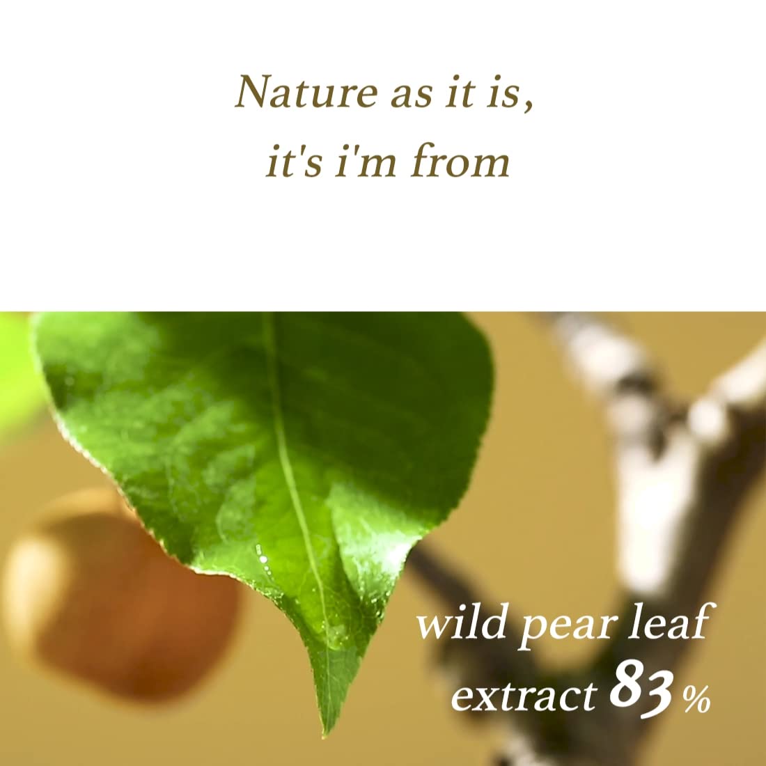 Pear Serum - 50ml – Cruelty-Free | Hanara