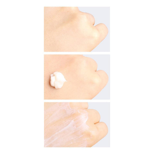 Floria Nutra Energy 100 Hours Cream 50ml – Cruelty-Free | Hanara