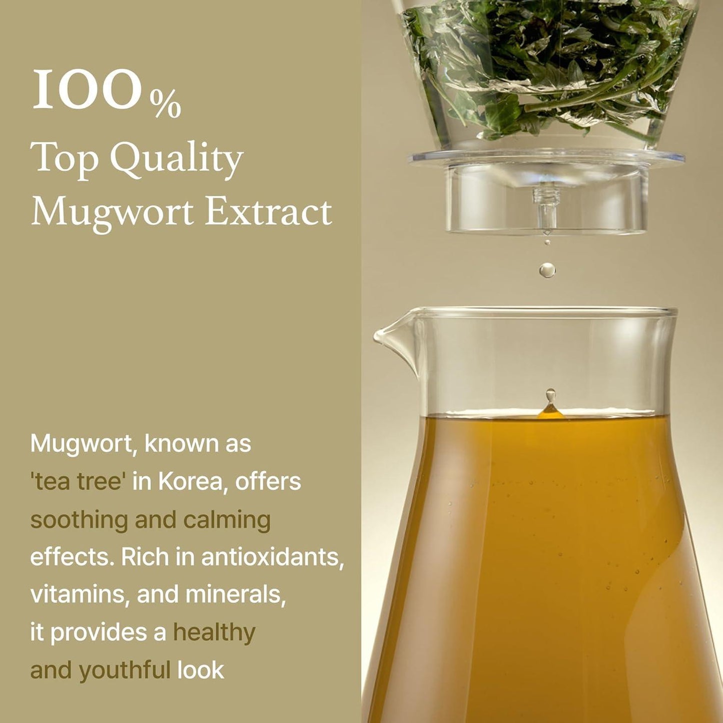 Mugwort Essence 150ml – Cruelty-Free | Hanara