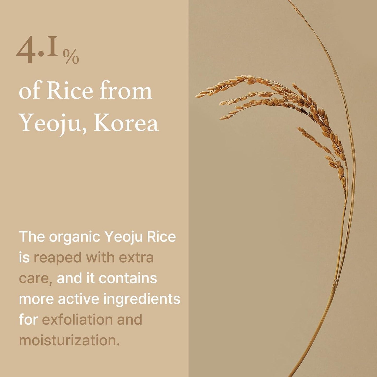 Rice Mask 110g – Cruelty-Free | Hanara