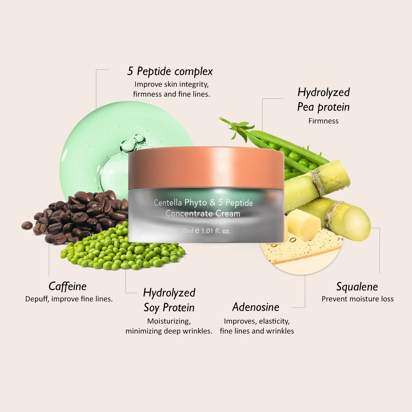 Centella Phyto & 5 Peptide Concentrate Cream 30ml + Refill 30ml – Cruelty-Free | Hanara