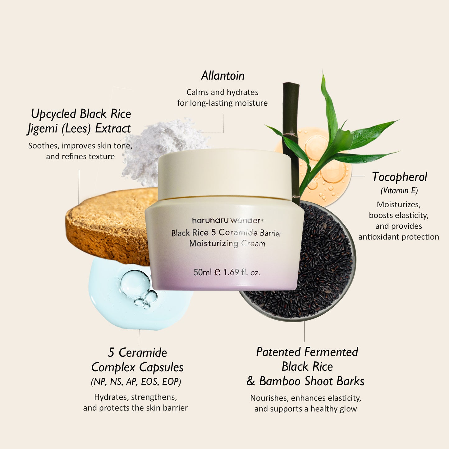 Black Rice 5 Ceramide Barrier Moisturizing Cream 50ml – Cruelty-Free | Hanara