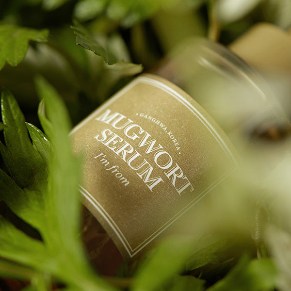 Mugwort Serum 30ml – Cruelty-Free | Hanara