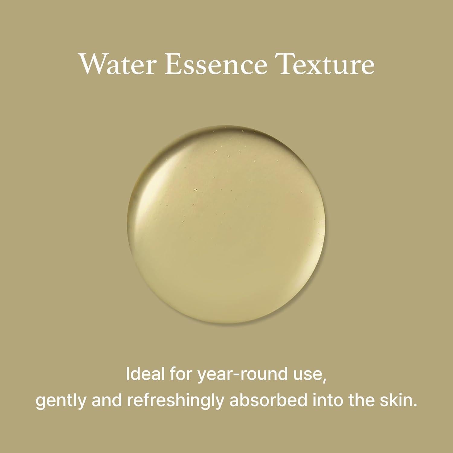 Mugwort Essence 150ml – Cruelty-Free | Hanara