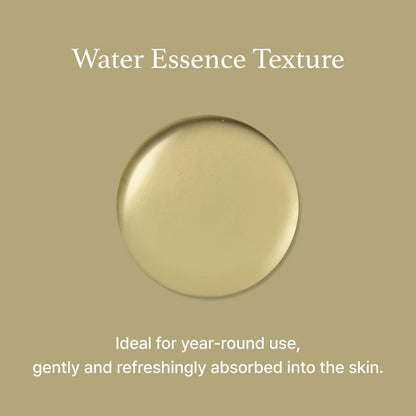 Mugwort Essence 150ml – Cruelty-Free | Hanara