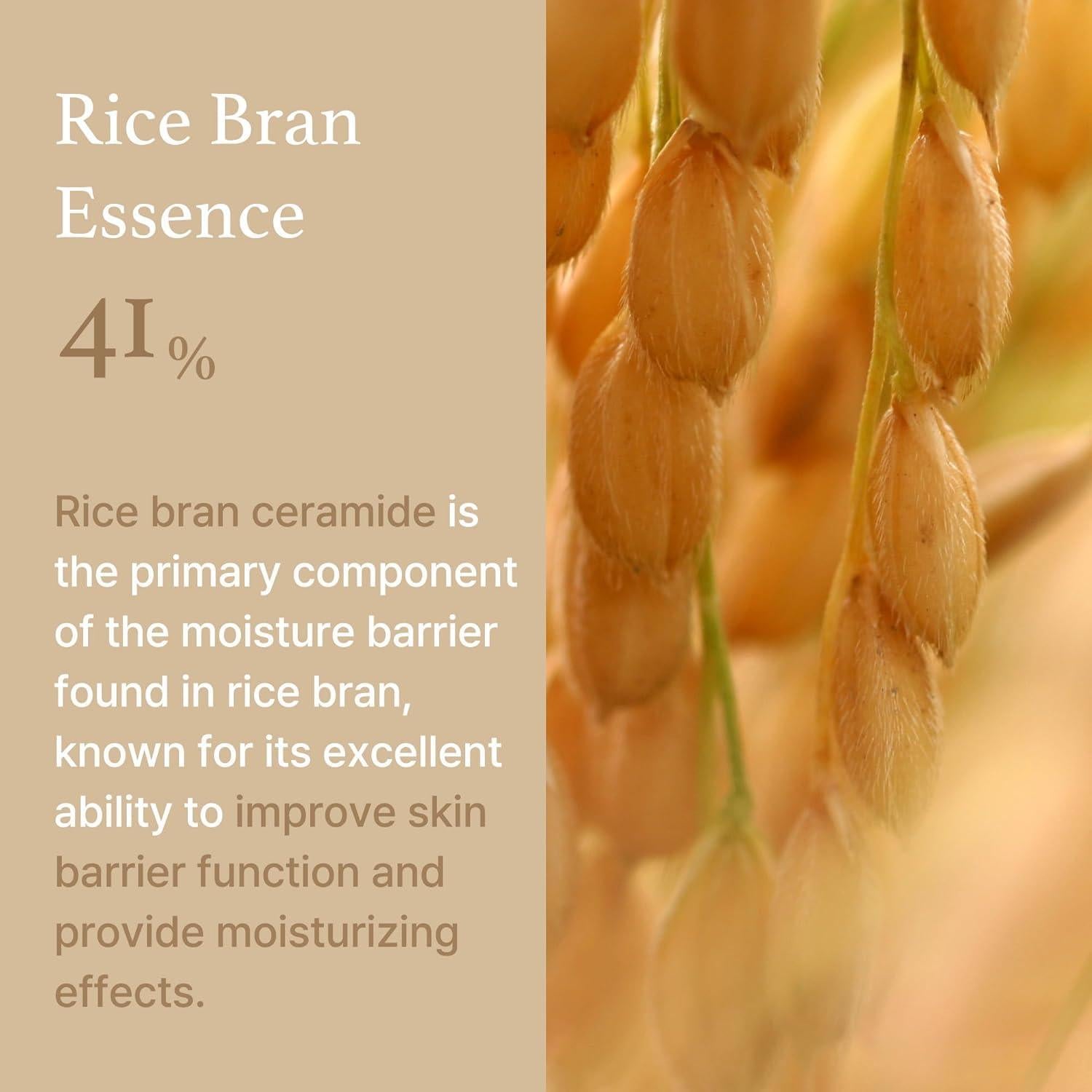 Rice Cream 50g – Cruelty-Free | Hanara