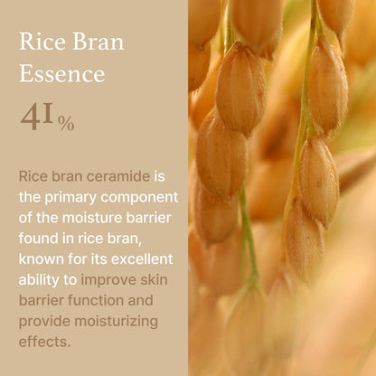 Rice Cream 50g – Cruelty-Free | Hanara