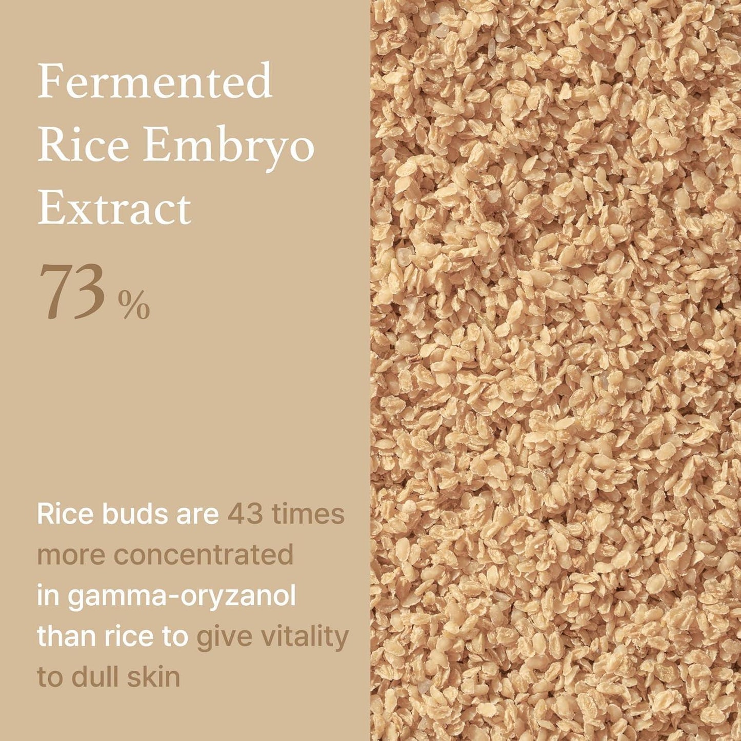 Rice Serum 30ml – Cruelty-Free | Hanara