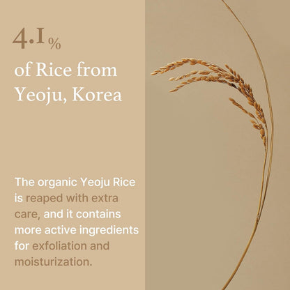 Rice Mask 110g – Cruelty-Free | Hanara