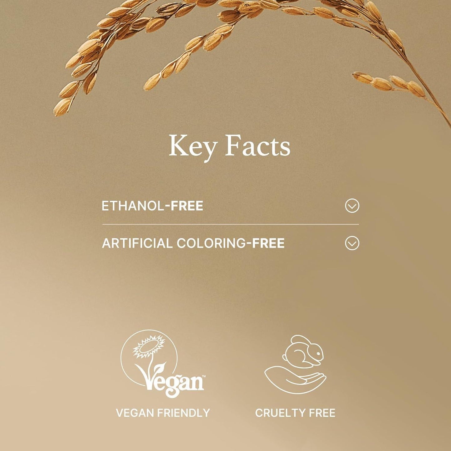 Rice Mask 110g – Cruelty-Free | Hanara