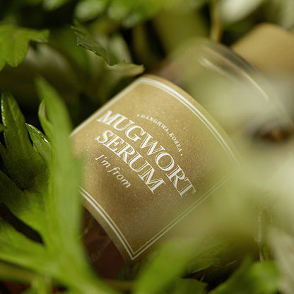 Mugwort Serum 30ml – Cruelty-Free | Hanara